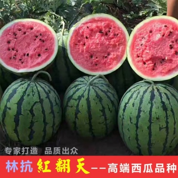 高品质西瓜种子红翻天大果中熟品种大红瓤包邮花皮红心甜