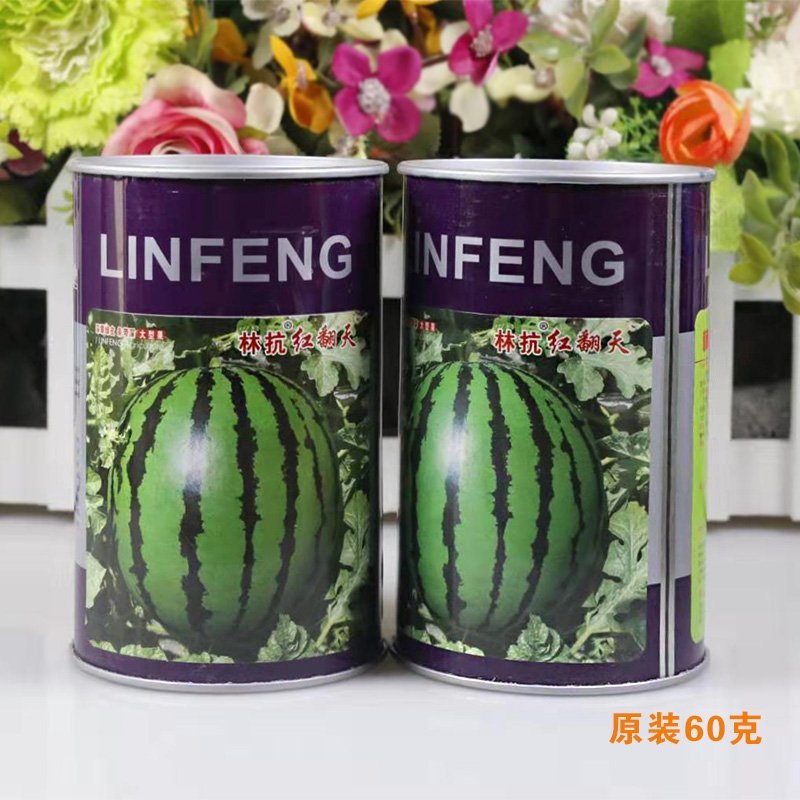 高品质西瓜种子红翻天大果中熟品种大红瓤包邮花皮红心甜