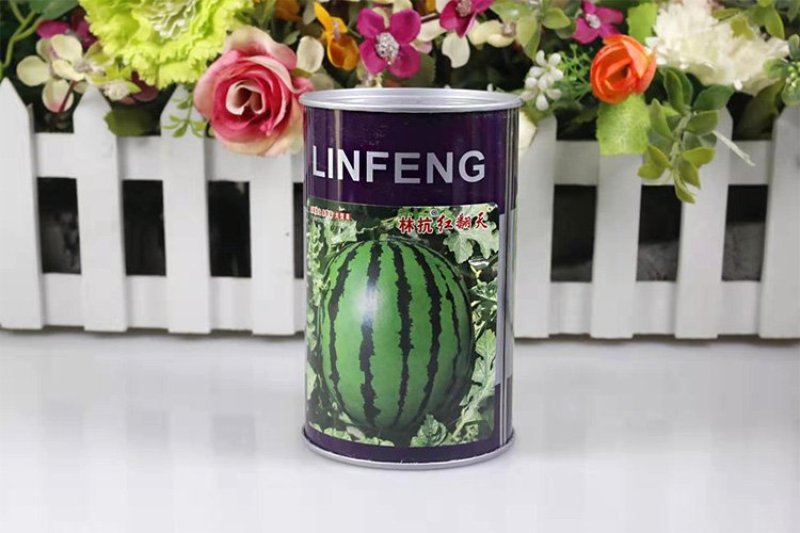 高品质西瓜种子红翻天大果中熟品种大红瓤包邮花皮红心甜