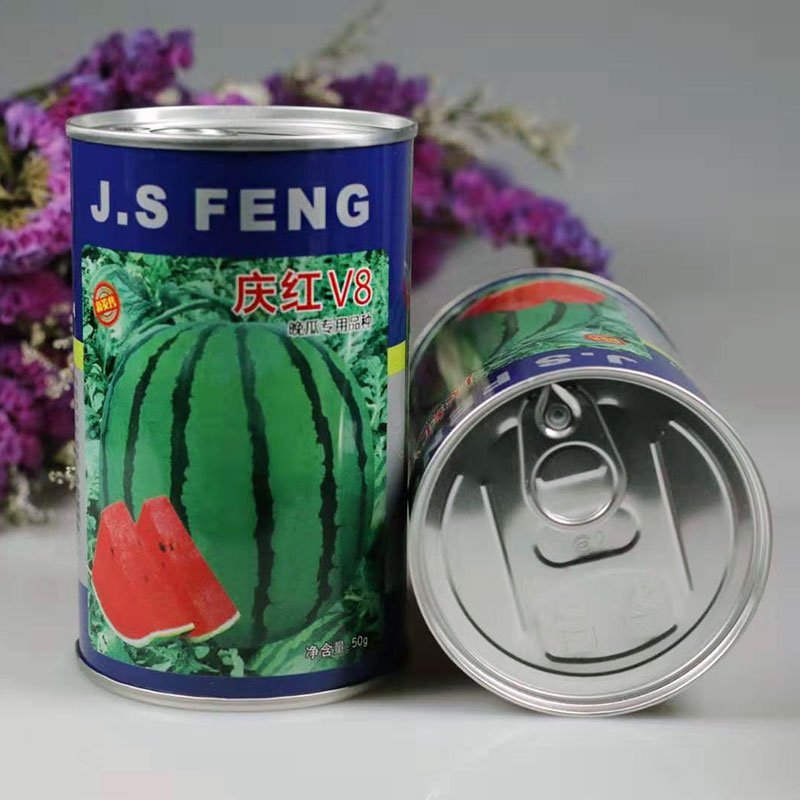 庆红v8西瓜种子晚熟品种原装正品包邮
