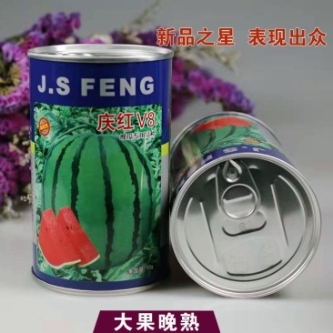 庆红v8西瓜种子晚熟品种原装正品包邮