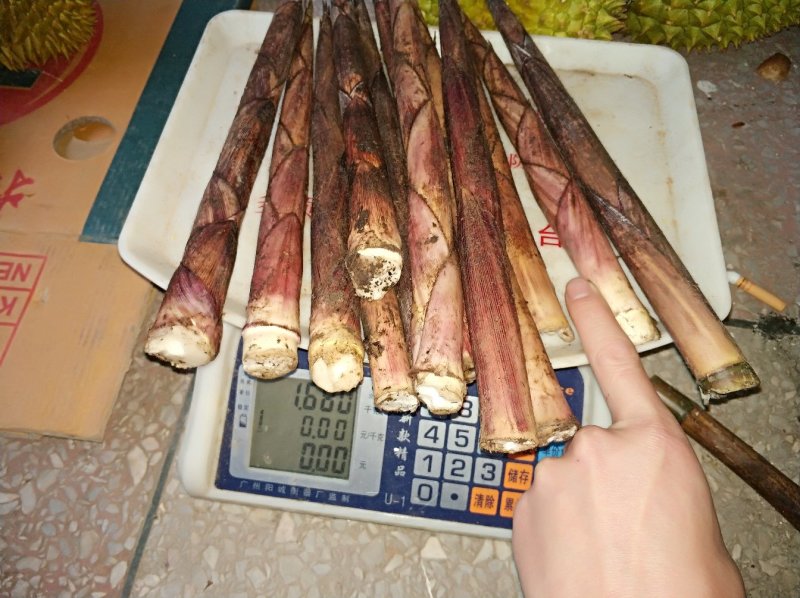 新出野生小甜笋
