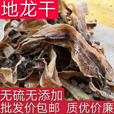 中药材全开地龙干干净无砂
