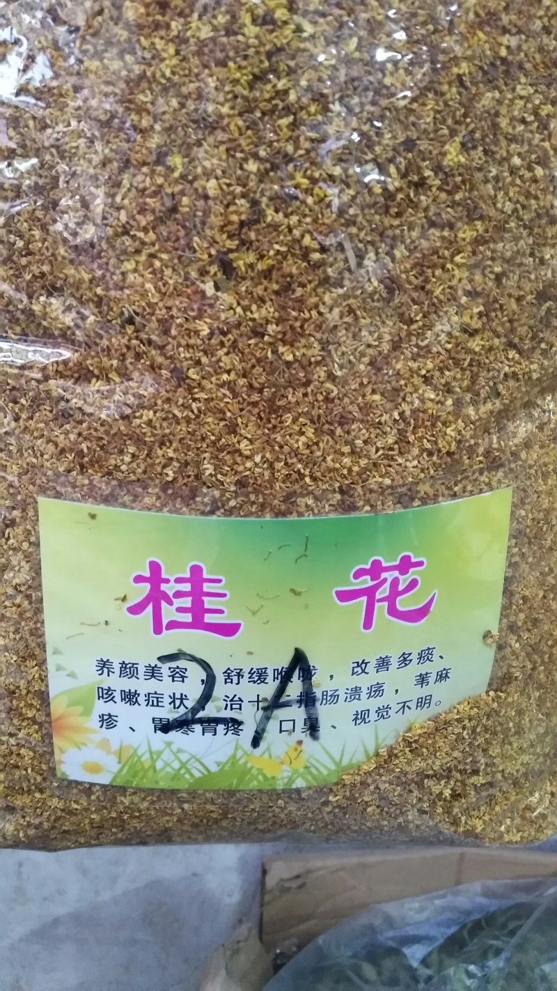 精选正品无硫桂花桂花茶足干货干净无杂质清香美味