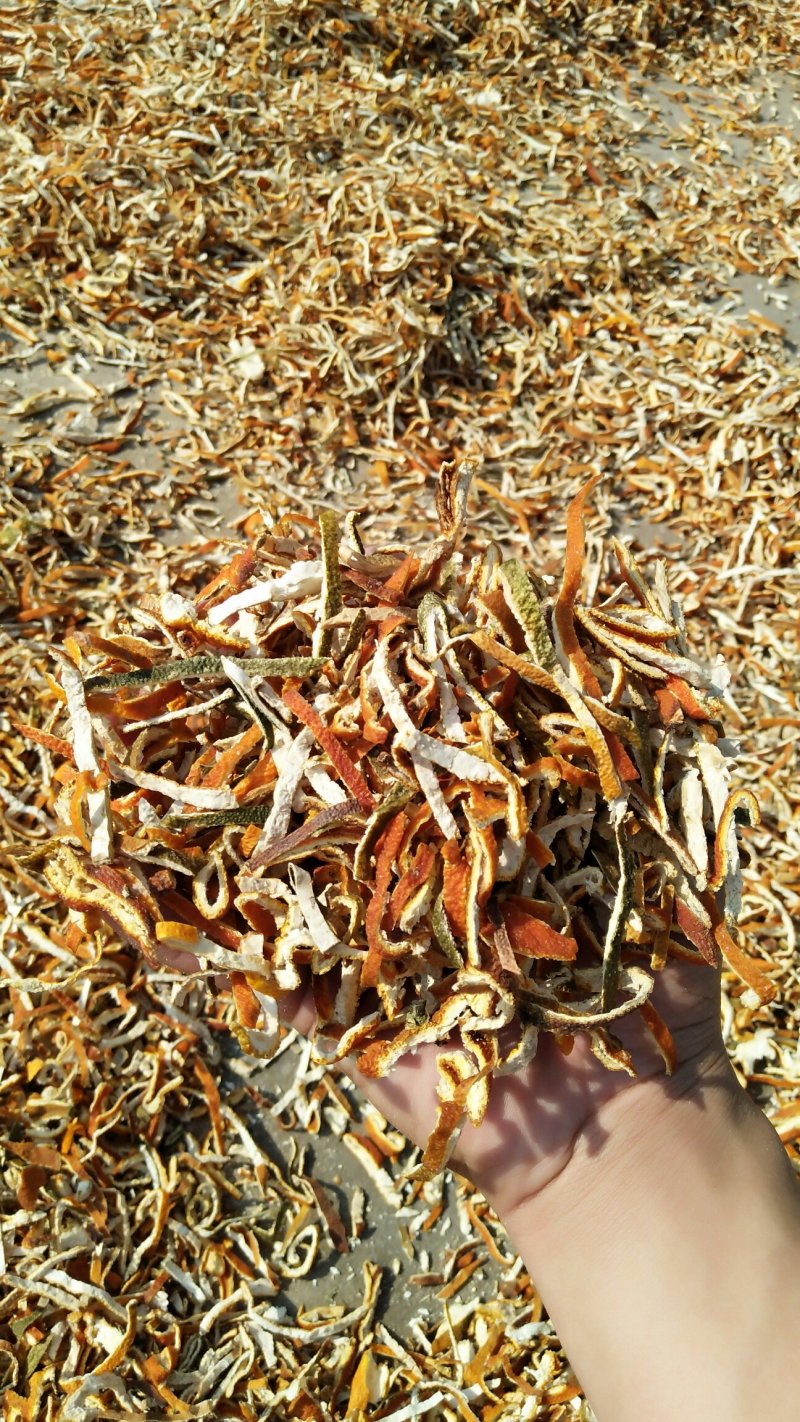 供应陈皮陈皮丝陈皮个子干度足，颜色好产地直销