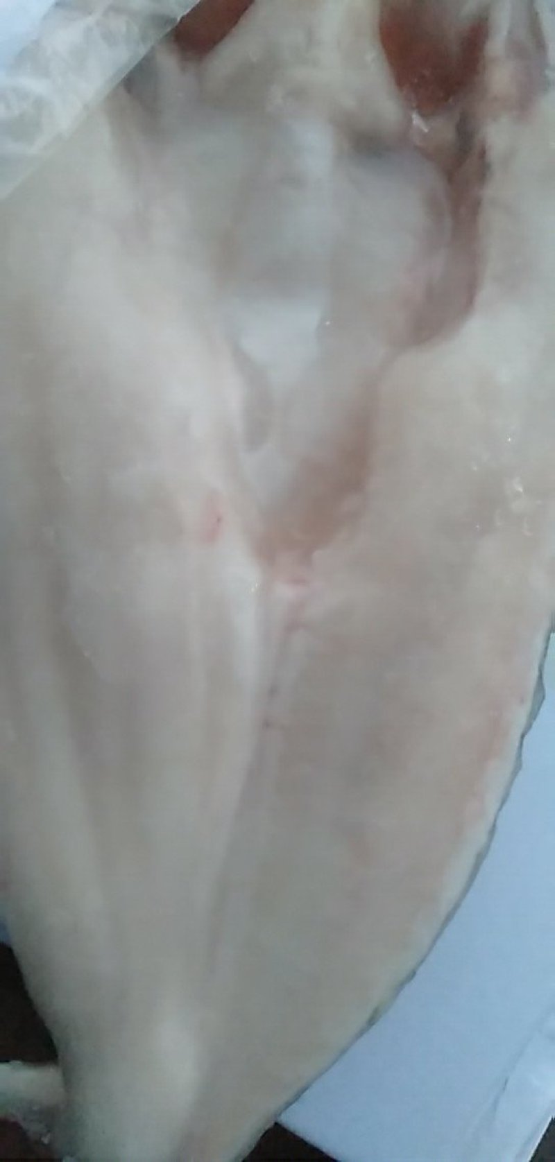 巴沙鱼8---18条