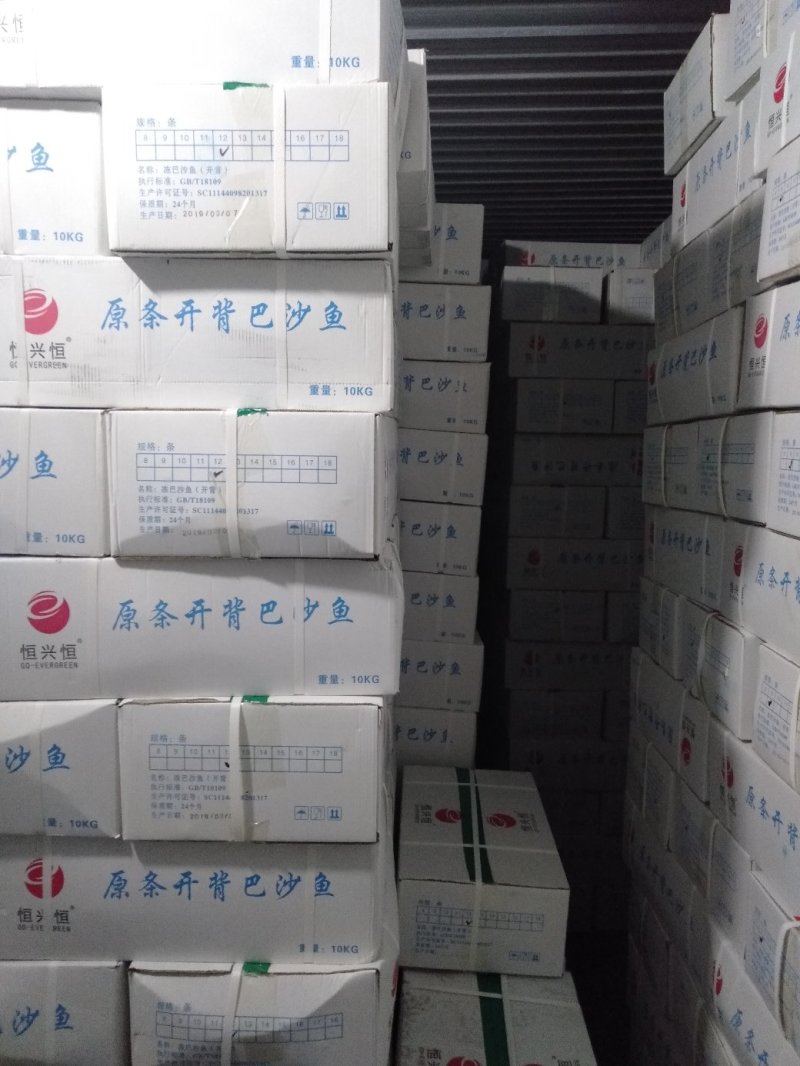 巴沙鱼8---18条