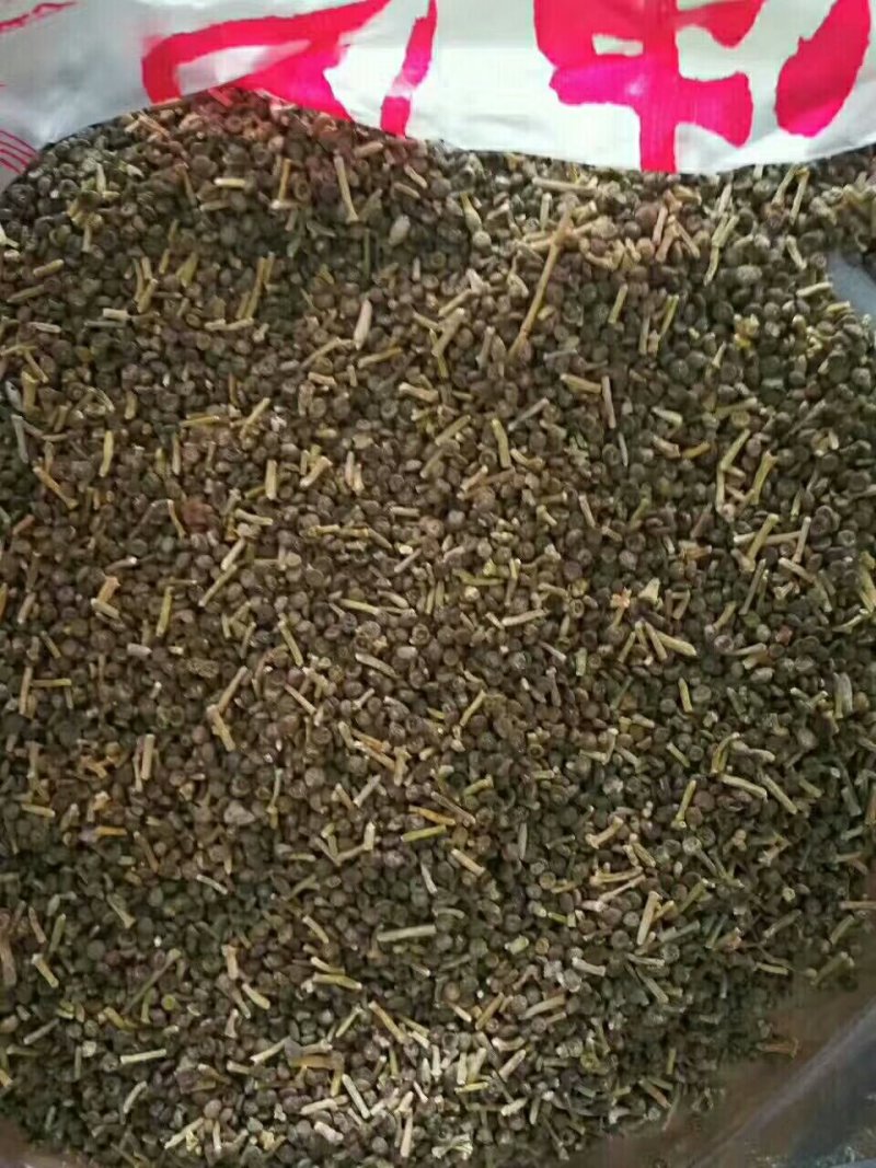 梭梭籽，花棒籽大量出售，量大从优