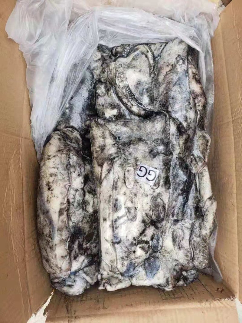 鱿鱼墨鱼