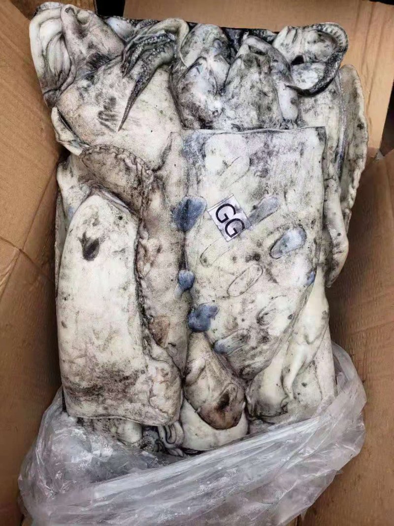 鱿鱼墨鱼