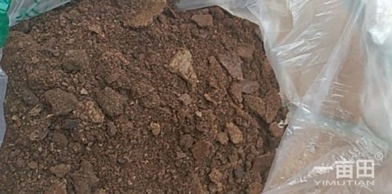 云南省罗平小榨菜籽饼