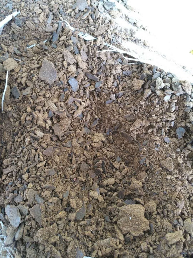 云南省罗平小榨菜籽饼