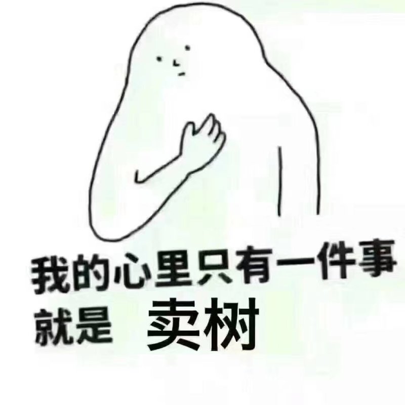 大樱桃苗两年苗免费提供技术指导