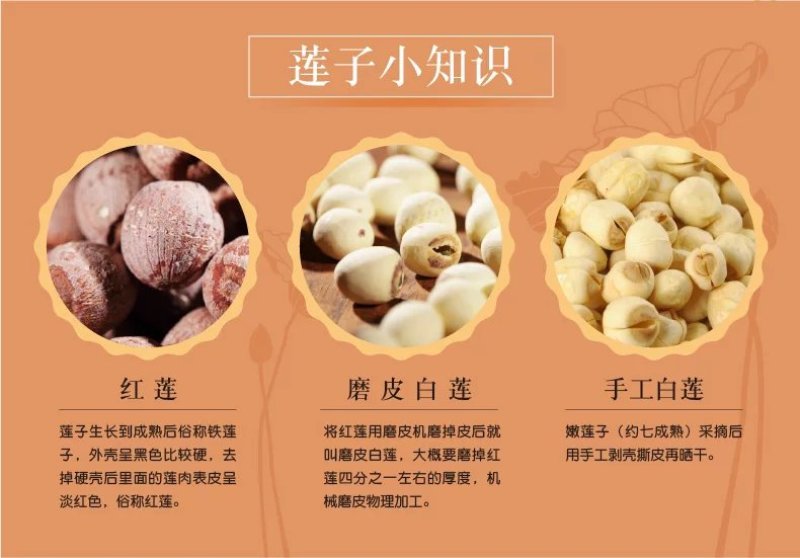 湖南湘莲大颗粒红莲实心湘莲颜色鲜品质好粒粒饱满
