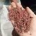 【精品】大红袍花椒自然晒干自产自销保质保量量大从优