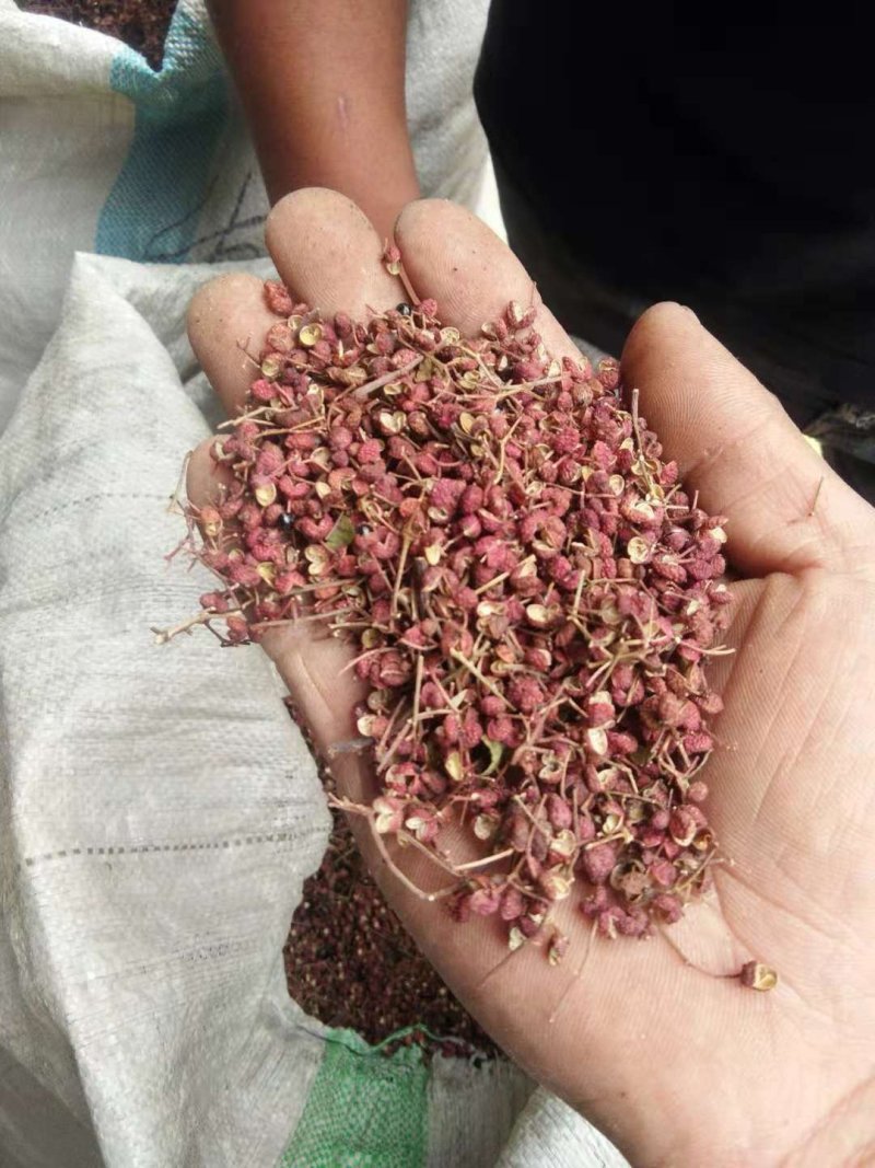 【精品】大红袍花椒自然晒干自产自销保质保量量大从优