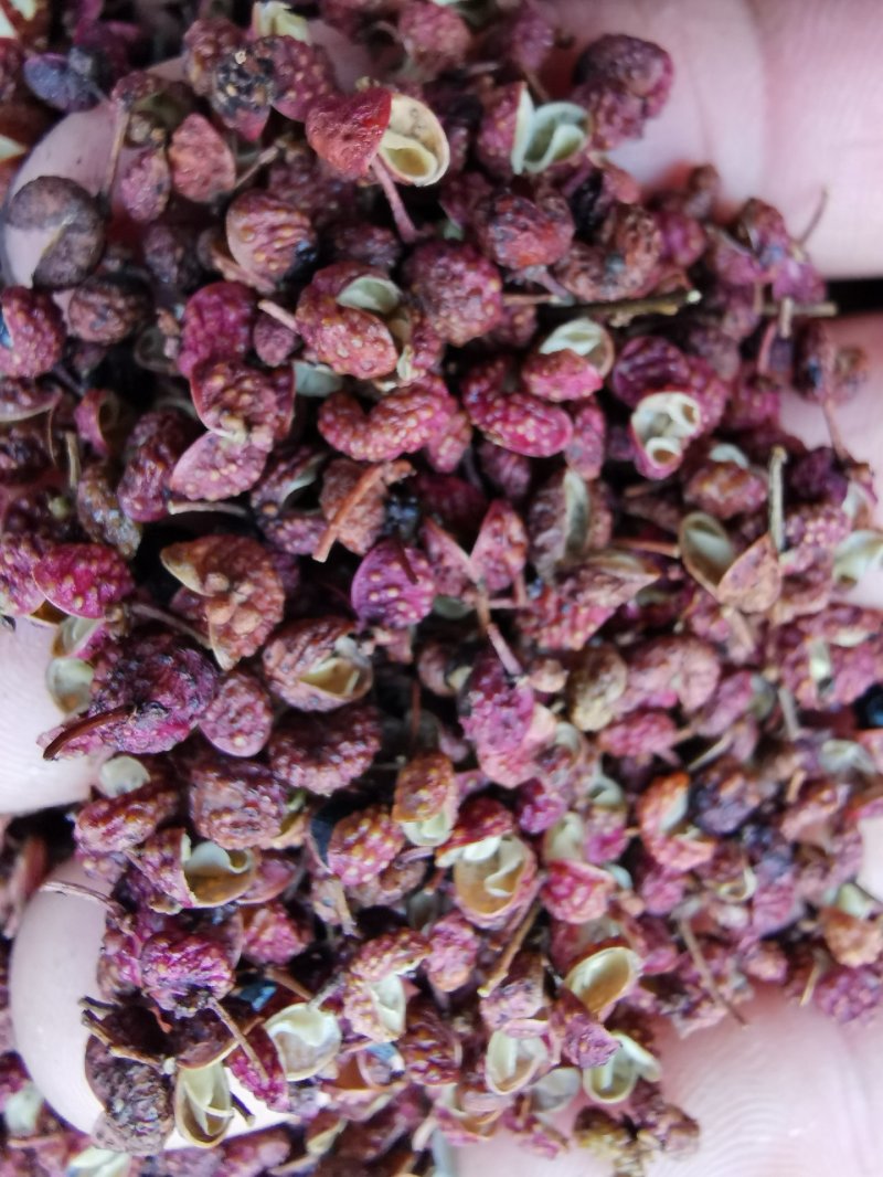 【精品】大红袍花椒自然晒干自产自销保质保量量大从优