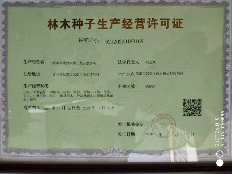 大红袍花椒树苗少刺伏椒大红袍正品3年苗包邮(武都金钱豹)