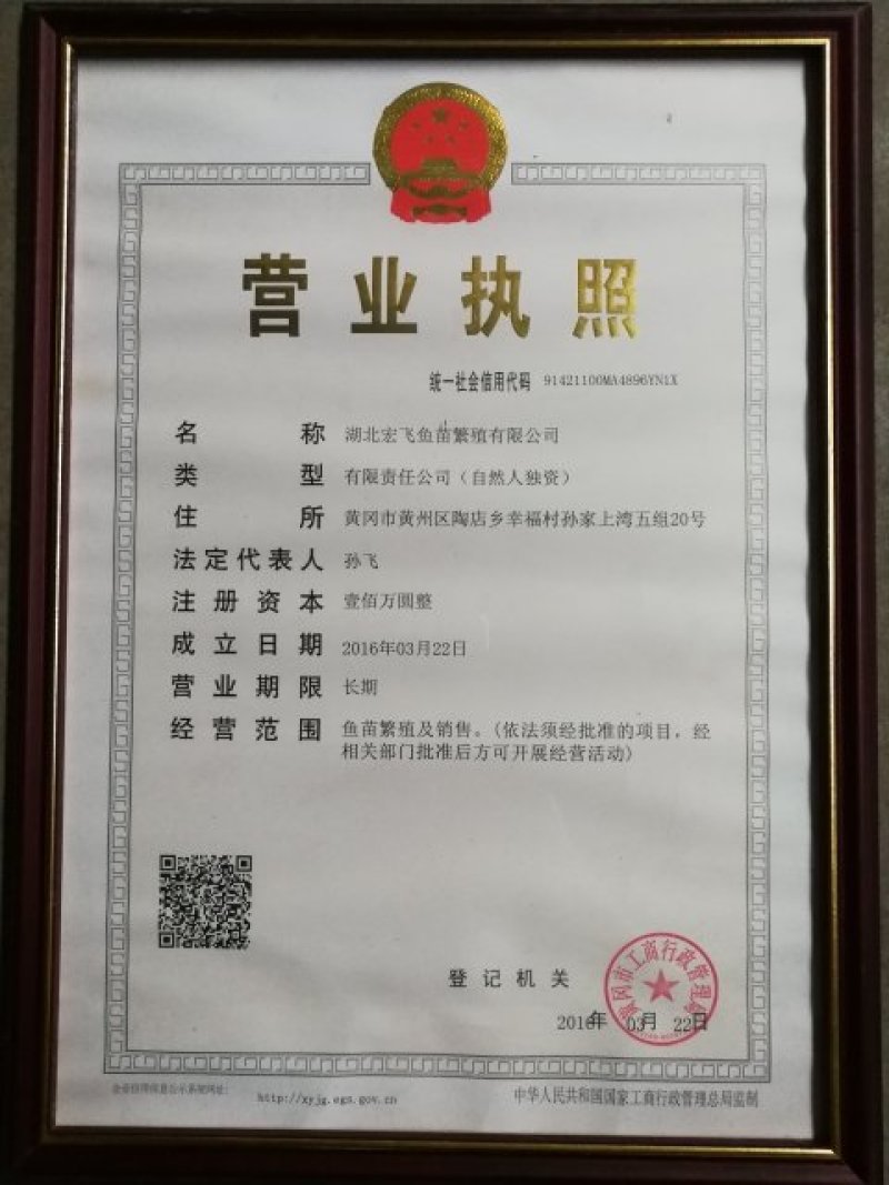 自产自销，白鲢水花，夏花，寸片，乌子，各种规格都有