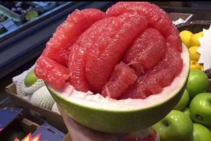 新品种泰国红宝石柚子苗