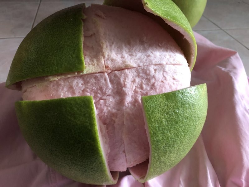 新品种泰国红宝石柚子苗