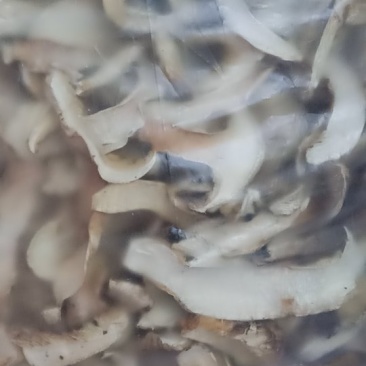 雅江一级野生松茸干片