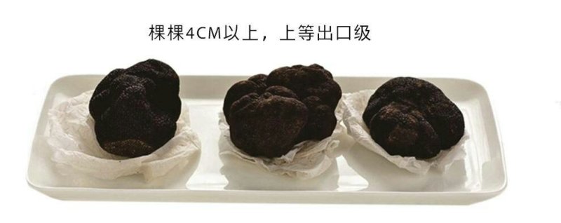 云南野生黑松露可视频看货原产地直销
