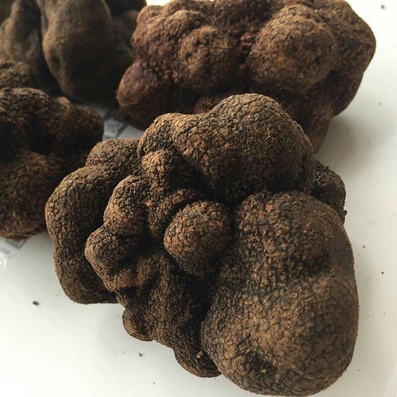云南野生黑松露可视频看货原产地直销