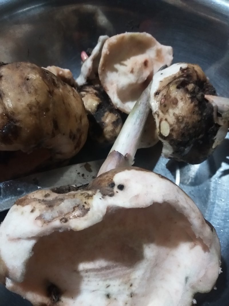 纯手工制作魔芋豆腐