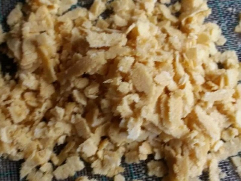 黑水虻卵