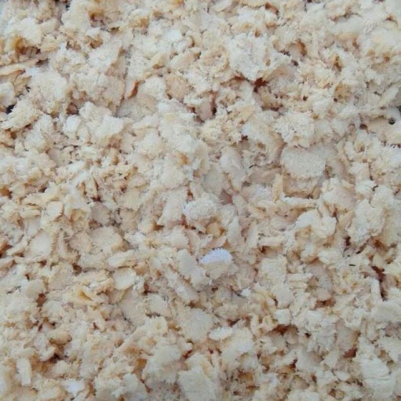 黑水虻卵