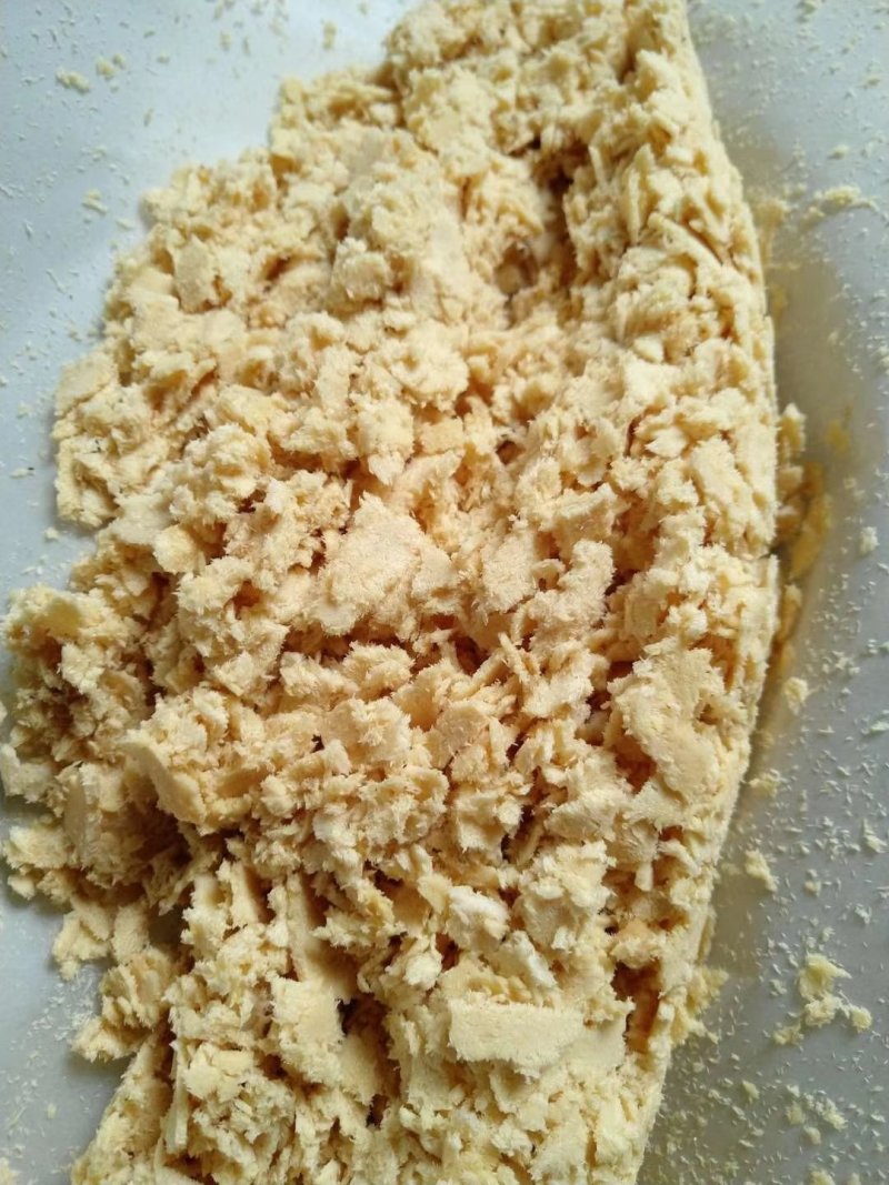黑水虻卵