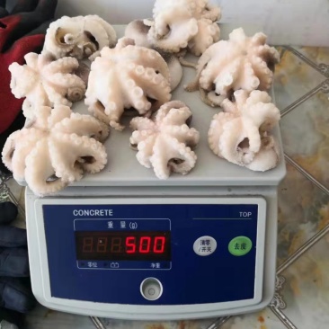 翻花八爪鱼，翻花八爪八爪鱼单冻八爪鱼