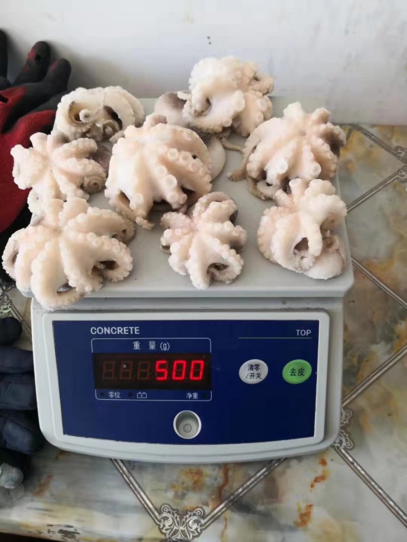 翻花八爪鱼，翻花八爪八爪鱼单冻八爪鱼