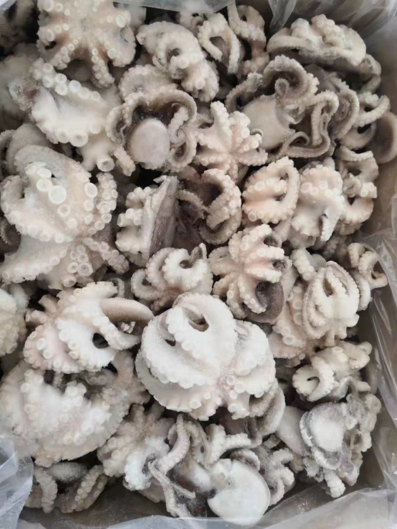 翻花八爪鱼，翻花八爪八爪鱼单冻八爪鱼