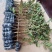 起苗器苗木带泥起苗器