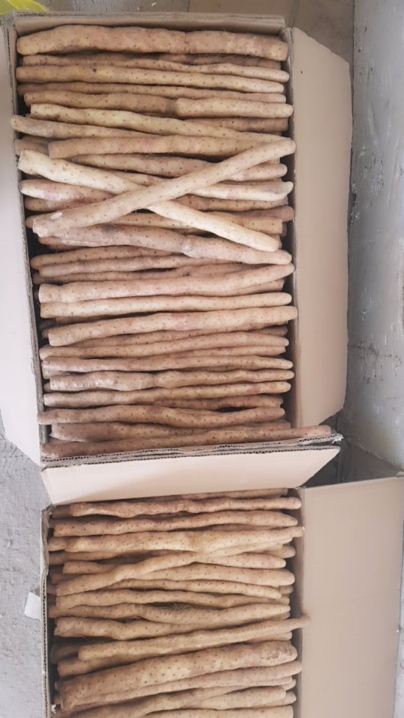 小白嘴白山药各种包装供应
