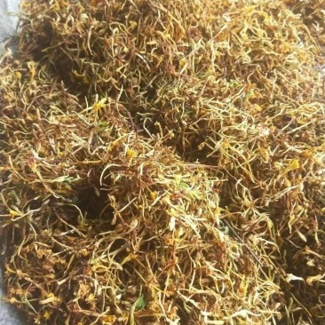 金银花统花野生品质保证一件代发一手货源