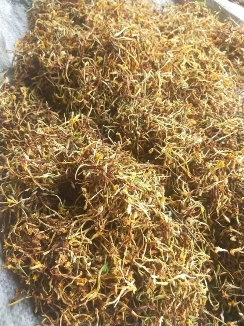 金银花统花野生品质保证一件代发一手货源