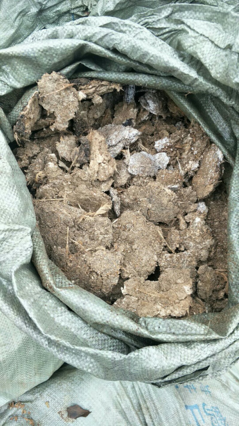 【长期供应】鸡粪有机肥五谷喂养生物菌发酵可视频看货