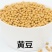 中粒黄豆种子