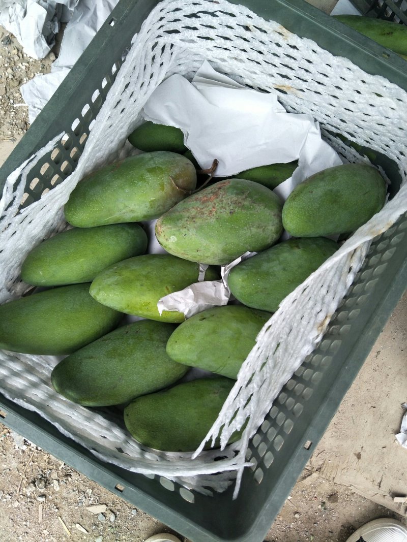 泰国菠萝蜜、青芒果
