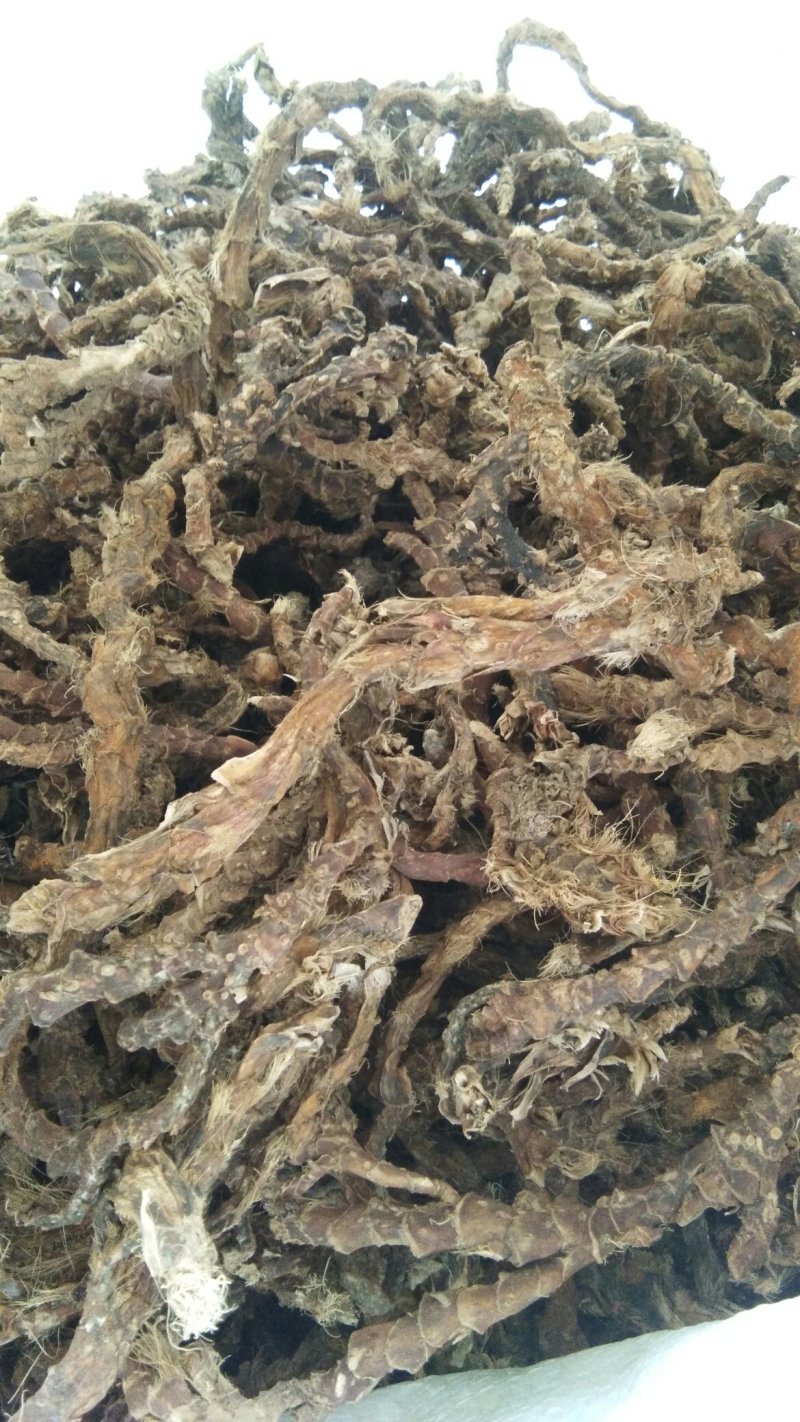 石昌蒲