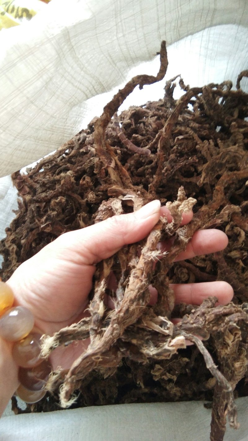 石昌蒲