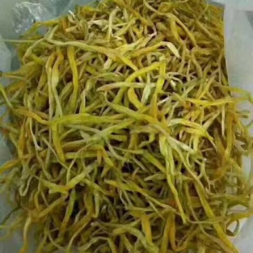黄花菜