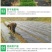 地膜厂家销售除草膜保温保湿黑色地膜白色草莓银黑地膜布