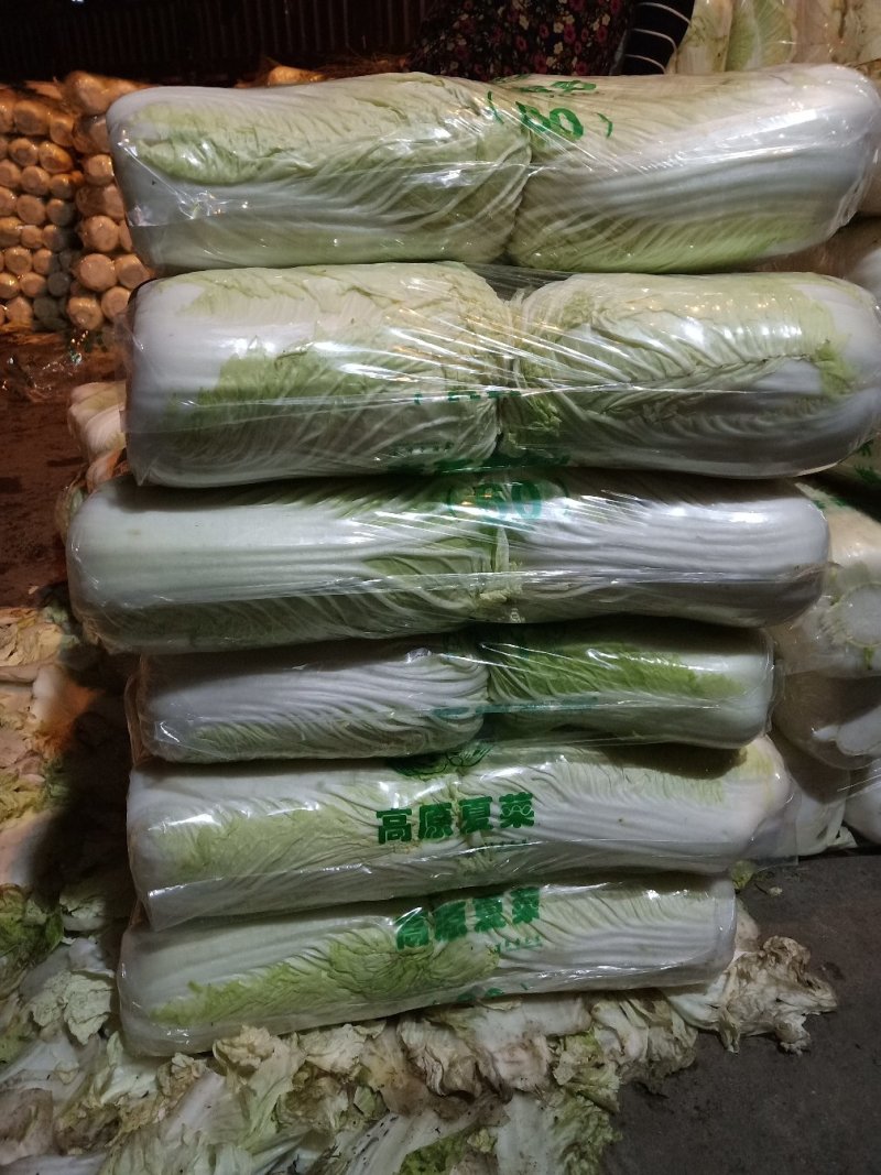 山东白菜北京三号大白菜3-6斤
