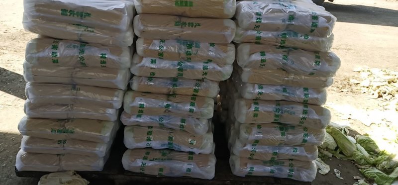 山东白菜北京三号大白菜3-6斤