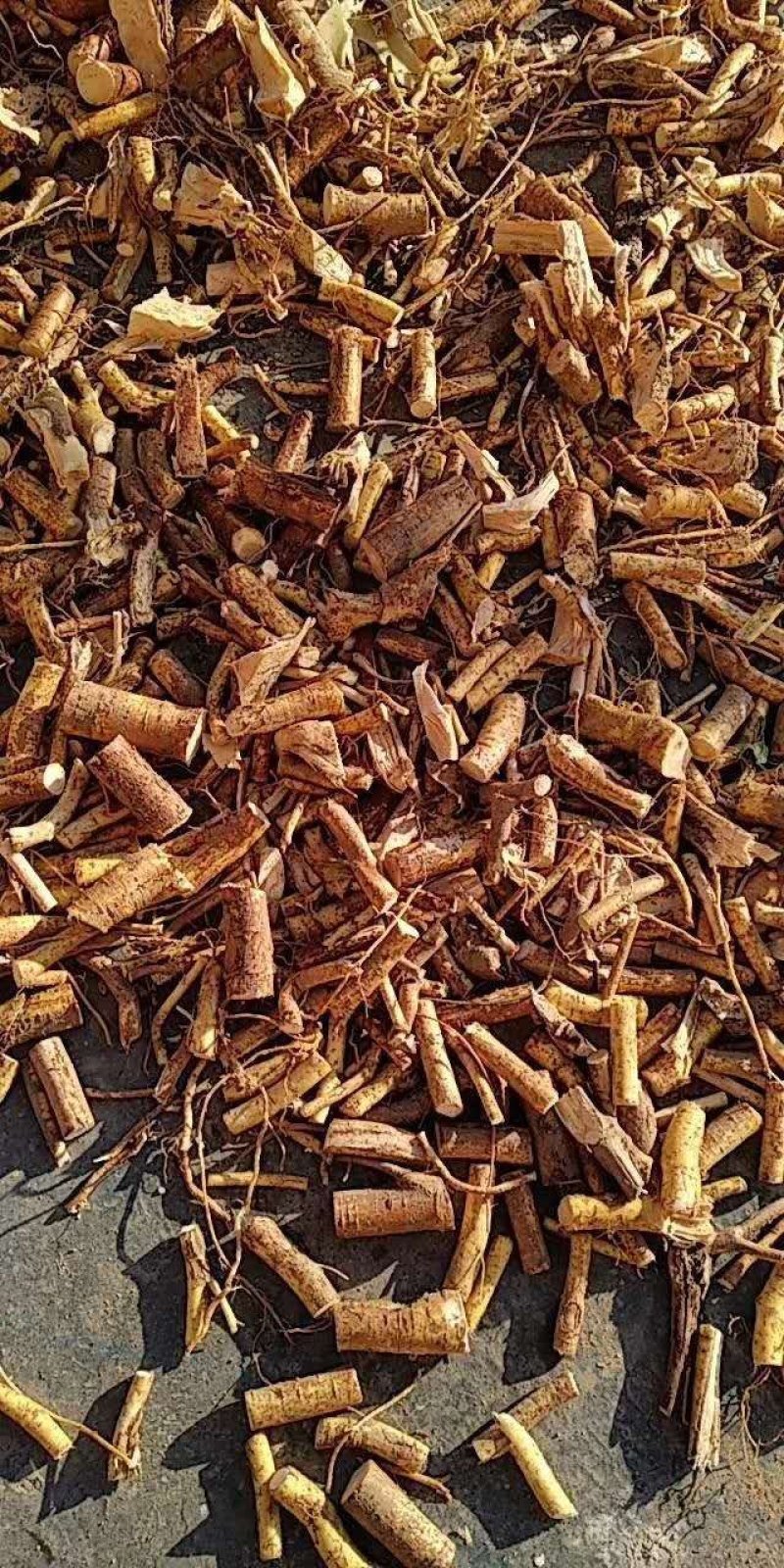 香味浓纯五指毛桃干货，一手货源，源产地，自己加工扎把切段