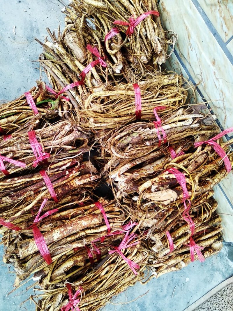 香味浓纯五指毛桃干货，一手货源，源产地，自己加工扎把切段